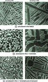 Figure 12 - Coexistence of several morphology scales in TD5AC alloy