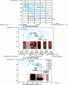 Figure 8 - TRC diagrams for TA6V and β-CEZ alloys