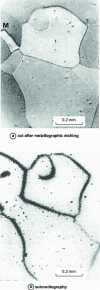 Figure 16 - Influence of grain boundary geometry on the intergranular self-diffusion of iron (30-day diffusion annealing at 650°C, under argon atmosphere); the M macle is marked on the autoradiograph only in its non-coherent part, after C. Leymonie and P. Lacombe, Rev. Mét. 54 (1957) 653; Courtesy P. Guiraldenq [26]