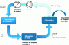 Figure 28 - Schematic diagram of the metal extraction process in CO2 SC media [19].