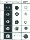 Figure 8 - Enamel adhesion test: impact test