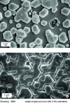 Figure 17 - Zinc coating on pure monocrystalline iron produced from a chloride acid electrolyte (a) after 100 C · dm-2, (b) thickness 3 µm (source: C. Allély)