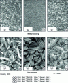 Figure 18 - Influence of the (a) bulk, (b) bonding process on the morphology of a zinc coating obtained from a non-cyanide alkaline electrolyte [21]