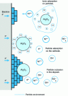 Figure 7 - Codeposition process according to Celis, Buelens et al. 