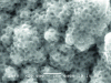 Figure 17 - Surface morphology of an Ag-PTFE coating 