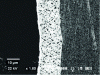 Figure 18 - Cross-sectional morphology of an Ag-Zr coating