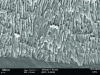 Figure 12 - Microfractography of a chromic anode layer