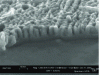 Figure 13 - Microfractography of a thin phosphoric layer