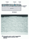 Figure 5 - Depot cross-section