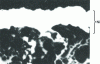 Figure 5 - Nickel deposition on ceramics: pore penetration