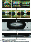 Figure 12 - Compressed drop technique