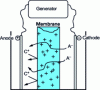 Figure 14 - How an anionic membrane works (Crédit EDF)