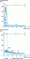 Figure 17 - Changes in inclusion size during and after ladle casting using different deoxidation methods [3]