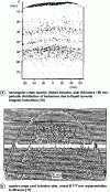 Figure 26 - Macroscopic distribution of inclusions in continuous cast products (MIDAS process)