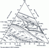 Figure 14 - Ternary diagram of ferrosocalcic slag (CaO-FeO-SiO2) (Rey, 1968)