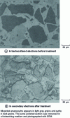 Figure 1 - Attack selectivity between arsenopyrite FeAsS and pyrite FeS2 during bioleaching (scanning electron microscope).
