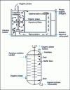 Figure 4 - Solvent extraction reactors