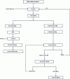 Figure 2 - Hydrometallurgical treatment of a mixed Bi-Mo concentrate