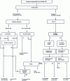 Figure 3 - Production of concentrates by mineralogy at the Xihuashan plant (China)