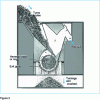 Figure 2 - Turning mill for steel and non-ferrous chips (Lindemann)