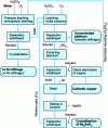 Figure 2 - Schematic diagram of operations at the base metal refinery of Western Platinum Ltd, South Africa