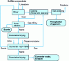 Figure 4 - Schematic diagram of operations at the Columbus smelting and converting plant, Stillwater, USA