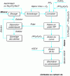 Figure 5 - Simplified schematic diagram of the "Pressure oxidation, thiosulfate and resin pulp" process for treating refractory gold ores 