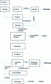 Figure 10 - Simplified schematic diagram of the Morro de Ouro gold ore processing plant