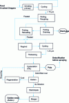 Figure 5 - Schematic diagram of the MOS plant (Salsigne gold mine)