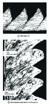 Figure 9 - Intense shear bands when machining hard, low-heat-conducting alloys at u " 1 m/s 