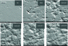 Figure 12 - SEM image of the surface of samples crushed at 200 J under different lubrication conditions