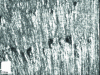 Figure 15 - SEM image of a tool surface after crushing a sample without lubricant (dry)