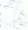 Figure 1 - Deformation ranges...