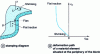 Figure 6 - Change of deformation path during deep-drawing of a bucket