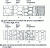 Figure 10 - Schematic representation of the structural modifications undergone during hot deformation in the case of dynamic discontinuous recrystallization.