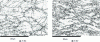 Figure 11 - Illustration of dynamic discontinuous collar recrystallization in a nickel-based superalloy (IN718) deformed in compression at 980 C and 10–2 s–1 (compression axis is vertical) [22]