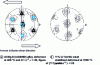 Figure 12 - Crystallographic textures resulting from large-amplitude torsional hot deformation (steady state) [18] [10].