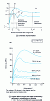 Figure 4 - Stress-strain curves for metals or alloys with low stacking fault energy in the field of hot forming