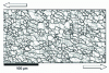 Figure 7 - Microstructure resulting from continuous dynamic recrystallization of a torsionally deformed Al-Mg-Si alloy (AA6060) at 400 C and 0.1 s–1 up to steady state...