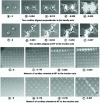 Figure 17 - In situ SEM images of the deformation of a 5052 aluminum sheet containing different configurations of laser-cut holes, as a function of strain and imposed at the ends of the specimen (vertical tensile axis) (from 23)