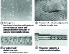 Figure 2 - Various types of defects appearing during shaping operations (according to 44, 45, 46 and 50)