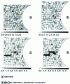 Figure 23 - Porosity heterogeneity resulting from the distribution of cavities linked to MnS inclusions (from 33)
