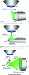 Figure 5 - Kikuchi diffraction in the SEM. The
conical sections of the acquired diagrams are marked in green. In
TKD mode, the detector enters from the side below the horizontal sample