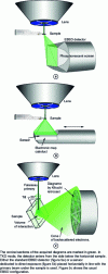 Figure 5 - Kikuchi SEM diffraction