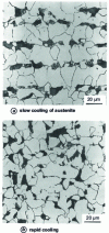 Figure 2 - Optical micrograph showing the ferrito-perlitic microstructure of a 0.3% carbon steel. [1]