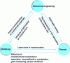 Figure 5 - Main "multiphysics" interactions during hot forming