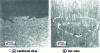 Figure 23 - Crack observed on the outer surface after the third pilgrim-pitch rolling pass of zircaloy 4 [17].