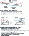 Figure 26 - Geometry and kinematics of film formation at contact entry [22].