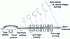 Figure 3 - "Roll Forming" or continuous straight rolling-welding of tubes (after [4])