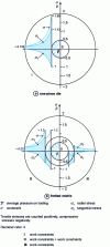 Figure 4 - Stress distribution for an unbraced and a braced matrix [19]